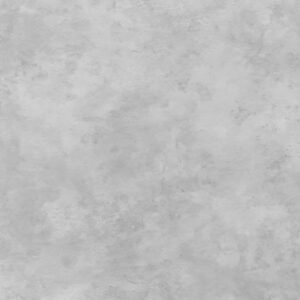 WT8055-scaled-e1767492961160.jpg PVC Wandpaneel Beton 270×122 cm